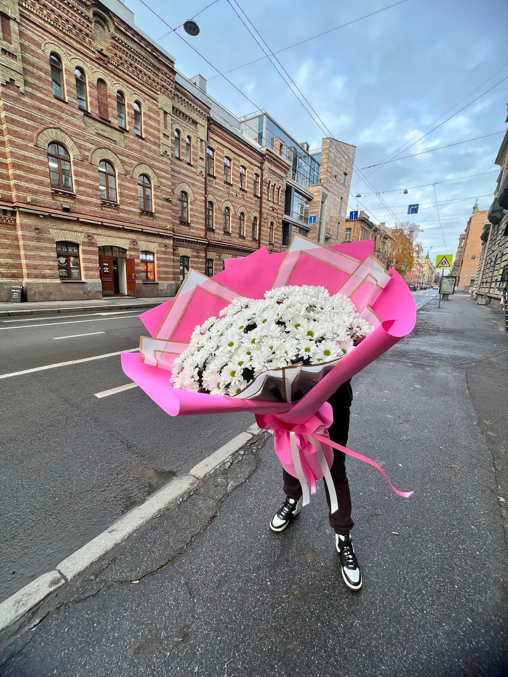 Альпийское сияние