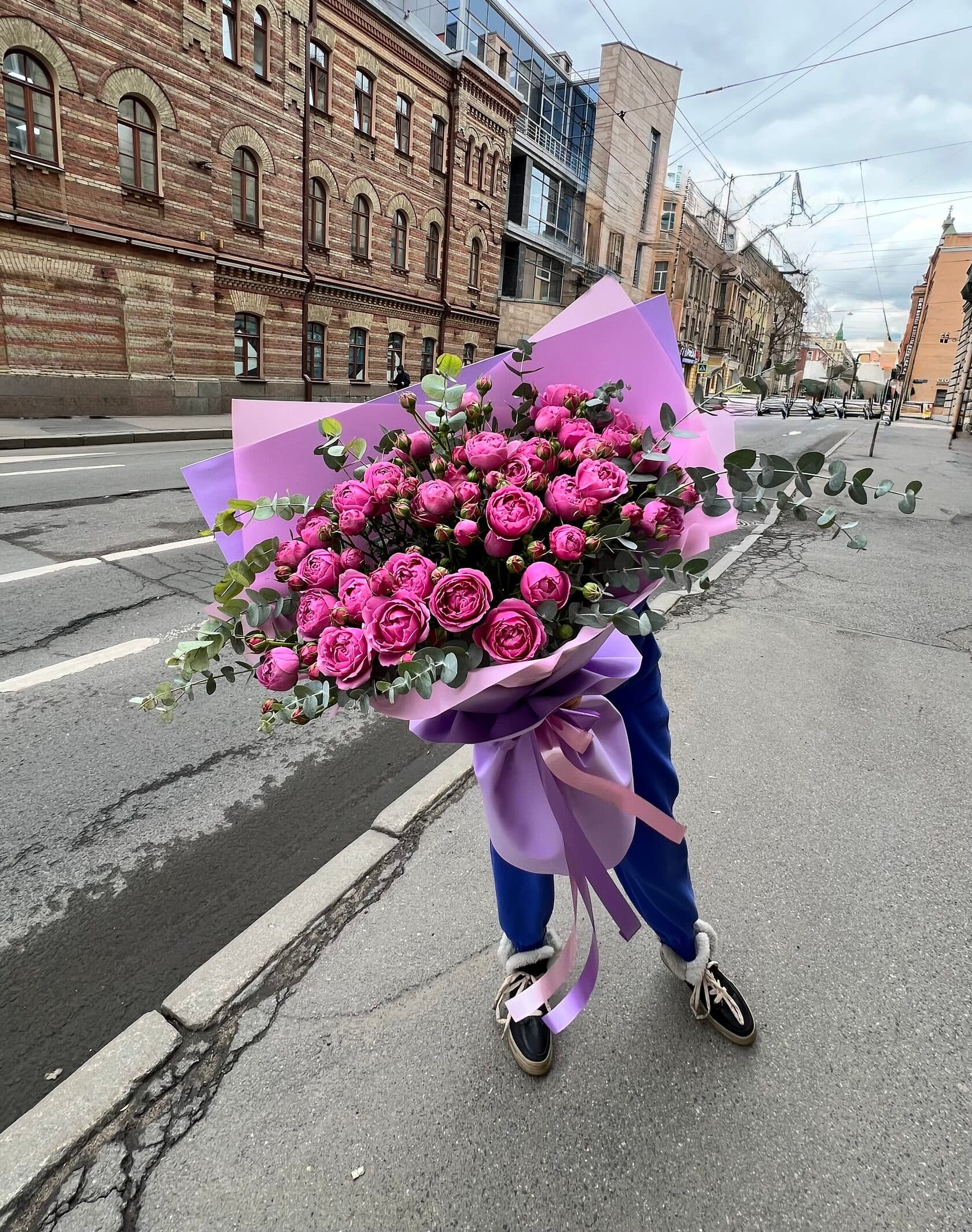 Прованс